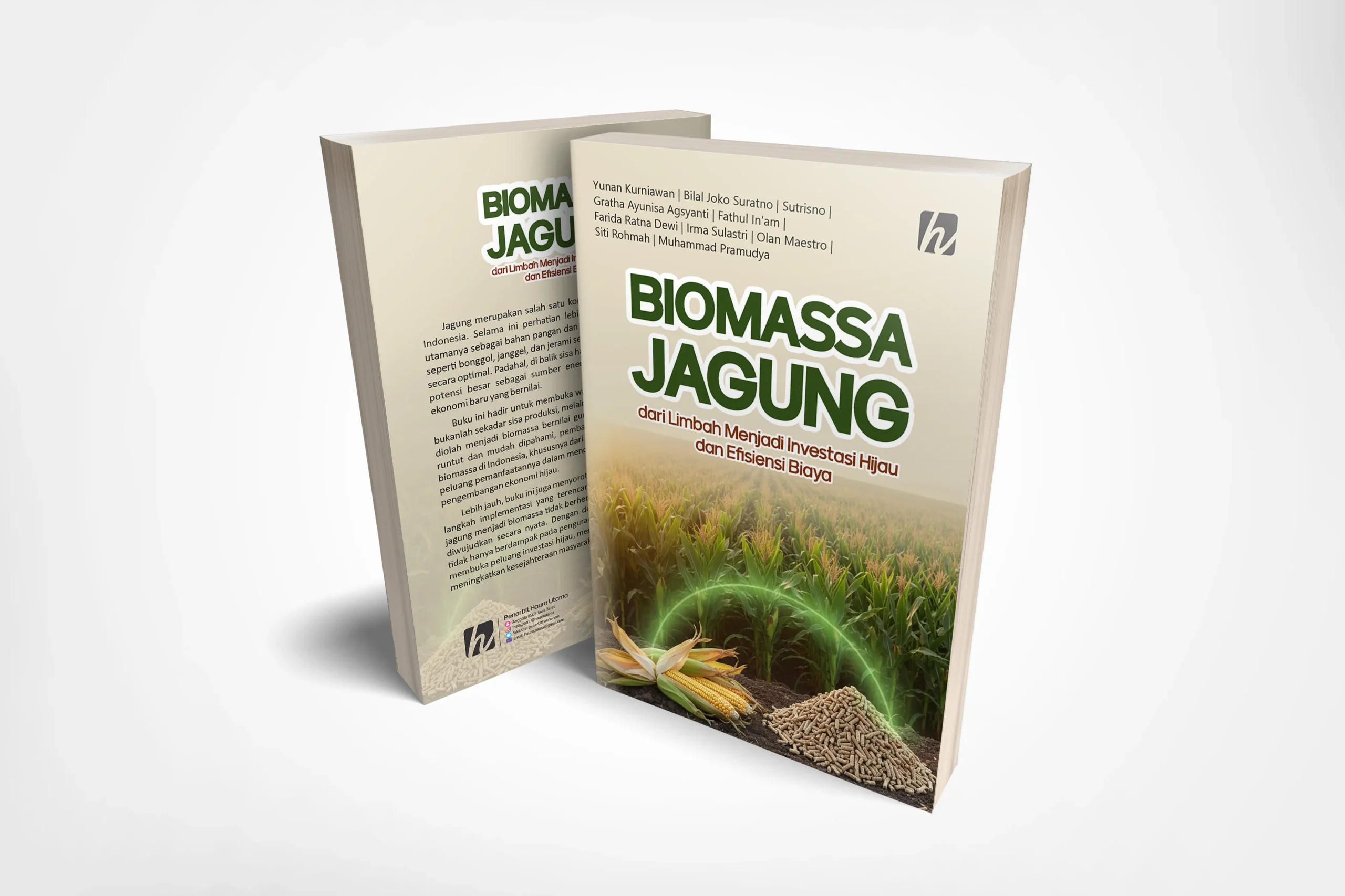 Biomassa Jagung